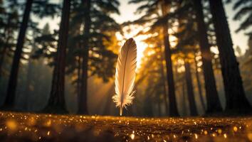 Floating Feather in Forest with Golden Sun Rays and Sparkles photo