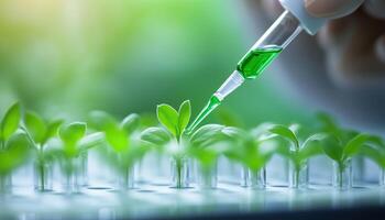 Biologist Woman Conducting Genetic Mutation Analysis With Green Liquid Using Micropipette In Biochemistry Laboratory And Typing Expertise On Computer. photo