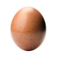 Mottled Brown Egg Isolated on Transparent Background Protein Source, Healthy Eating png