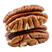 Closeup of Shelled Pecan halves with Transparent Background, Brown Color, Texture png