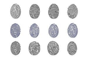 Biometric Fingerprint Pattern Icons for Forensic Analysis and Identity Verification vector