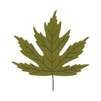 Maple leaf in dark green color. One element isolated on white. Spring or summer background, illustration vector