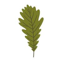 Oak leaf in dark green color, illustration vector
