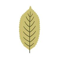 Tree leaf in light green color. One element isolated on white. Spring background, illustration vector