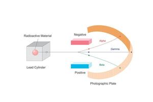 Radioactivity experiment, alpha, beta and gamma rays. vector