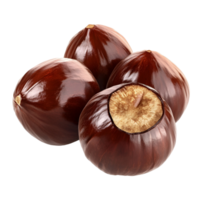 Whole Filbert Nuts With Green Leaf Branch on a transparent background png