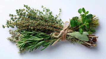 Herbs and herbs on white background photo