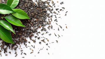 Green tea leaves and leaves on white background photo