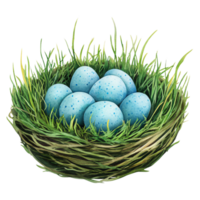 Nest made of twigs and grass holding several blue speckled eggs, symbolizing new life and springtime renewal, set against plain background png