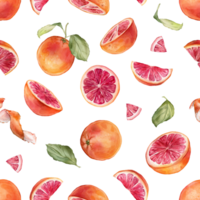 Seamless pattern with watercolor illustration of grapefruit or orange with white flowers. Hand painted print with citrus branch with green leaves for wrapping paper, textile design png