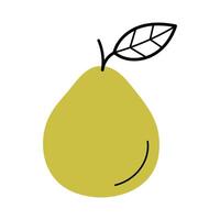 Whole pomelo with twig and leaf. Hand drawn sketch icon of citrus tropical fruit. Isolated illustration in doodle line style. vector