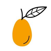 Whole kumquat with twig and leaf. Hand drawn sketch icon of citrus fruit. Isolated illustration in doodle line style. vector