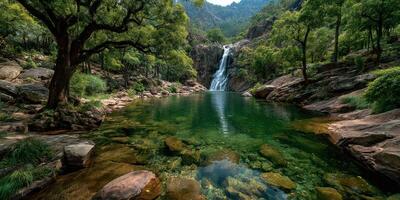 Beautiful waterfall cascading into serene green pond surrounded by lush vegetation in remote mountainous area photo