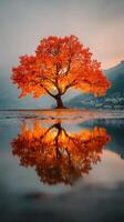 Stunning autumn tree reflecting in lake at sunrise near mountains with vibrant orange foliage photo