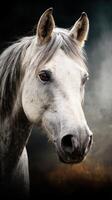 Majestic horse portrait captured in soft light showcasing its striking features and calm demeanor in a serene setting photo