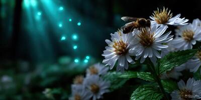 Bee collecting nectar from white flowers in a mystical forest during twilight photo