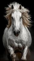 Majestic white horse galloping forward with flowing mane against dark background capturing dynamic energy and grace photo