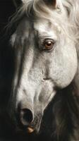 Majestic white horse with expressive eyes captured in soft lighting highlighting its features and elegance photo
