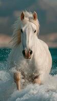 Majestic white horse galloping through ocean waves at sunset near a serene beach photo