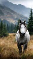 Majestic grey horse walks through golden grass under cloudy skies in mountain landscape photo