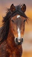 Beautiful wild horse portrait showcasing strong features against a blurred natural background at sunset photo