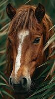 Beautiful brown horse with flowing mane surrounded by green grass under soft natural light in a tranquil setting photo