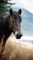 Majestic horse stands gracefully in a golden field by a misty mountain backdrop during early morning light photo