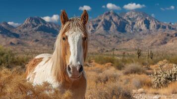 Majestic horse standing in a desert landscape with mountains under a bright blue sky photo