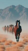 Herd of majestic horses trots through dry grassland with distant mountains at sunset creating a captivating view of nature's beauty photo