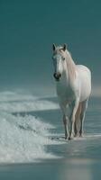 White horse standing calmly at water's edge during twilight on a serene beach with gentle waves photo