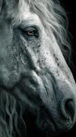 Portrait of a majestic white horse with flowing mane set against a dark background conveying strength and grace photo