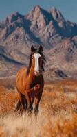 Wild horse roams freely in a desert landscape with majestic mountains in the background during golden hour photo