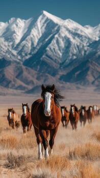 manada de salvaje caballos corriendo mediante un polvoriento llanura con nevadas montañas en el antecedentes durante brillante luz foto