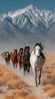 Wild horses galloping through a dusty path with mountain backdrop on a sunny day photo
