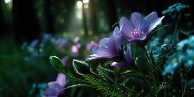 Vibrant purple flowers bloom in a serene forest setting during the golden hour of early evening photo