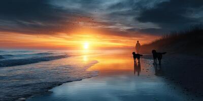 Walking dogs along the shore at sunset with vibrant colors reflecting on the water photo