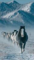 Herd of horses walking through winter landscape with mountains in the background at dawn photo