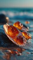 Beautiful amber stones placed on a seashell at the beach during sunset near the water's edge photo