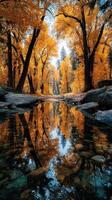 Autumn forest landscape with a tranquil river reflecting vibrant orange and yellow foliage in a serene natural setting photo