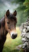 Majestic brown horse grazing in a serene meadow near a stone wall during a peaceful morning photo