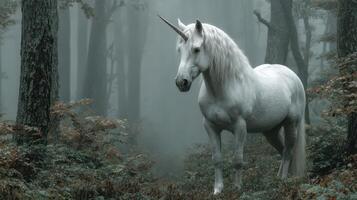 Mythical white unicorn standing gracefully in a foggy forest surrounded by trees and foliage during early morning light photo