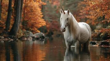 Majestic unicorn standing in a tranquil forest stream surrounded by autumn foliage in warm golden tones photo