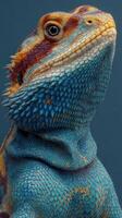 Colorful lizard poses elegantly against a dark background showcasing detailed scales and vivid features photo
