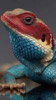 Colorful lizard displays vibrant colors and textures in natural habitat during sunny afternoon photo
