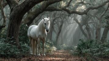 Mystical unicorn standing in an enchanted forest filled with ethereal light and ancient trees photo