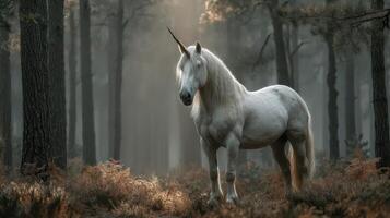 Majestic unicorn stands in a misty forest surrounded by tall trees and ferns during early morning light photo