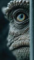 Close-up view of a detailed reptilian eye showcasing intricate textures and colors in a dramatic lighting setting photo