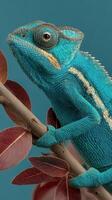Bright blue chameleon perched on a branch with vibrant leaves against a solid background photo