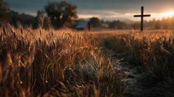 Golden wheat field at sunset with a wooden cross standing in the background near a small building photo
