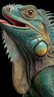 Colorful iguana displays vibrant textures in close-up against dark background in natural setting photo